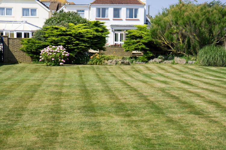 lawn mowing companies